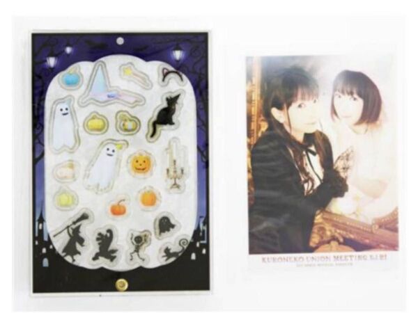 【新品未開封品】堀江由衣 黒ネコ集会 アクリルフレーム生写真付き
