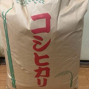送料無料♪新米!白米!コシヒカリ100%!令和6年埼玉県コシヒカリ 30キロ 4月19日収穫!白米