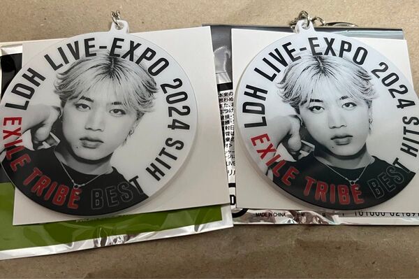新品未使用 匿名配送 LDH LIVE-EXPO アクリルキーホルダー 半田龍臣