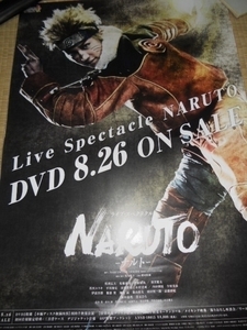  pine hill wide large NARUTO- Naruto - Live * spec ktakru poster 