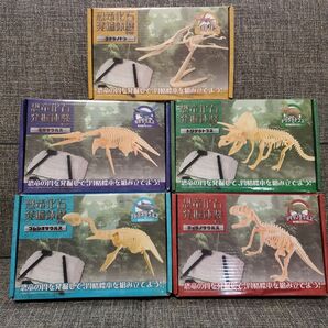 恐竜化石発掘体験キット 全5種セット