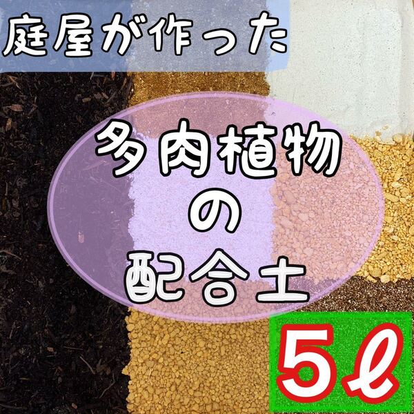 庭屋が作った多肉配合土 5リットル 多肉植物 サボテン 挿木 種まき 魂根植物