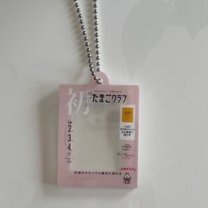初めてのたまごくらぶ1個