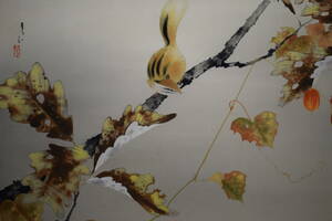 Art hand Auction [Desconocido]/Autor desconocido/Dibujo de ardilla de hojas de otoño/Melón de cuervo/Calabaza de cuervo/Pergamino colgante de tienda de hotel HG-839, cuadro, pintura japonesa, flores y pájaros, pájaros y bestias
