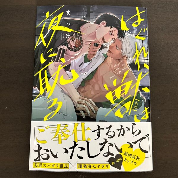 はぐれ獣は夜に耽る