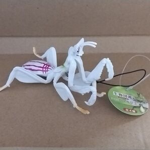 新品未使用 生物図鑑 リアルカマキリ3 ①