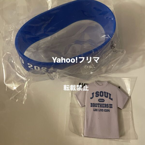 三代目 JSB シリコンブレス Tシャツマグネット LDH LIVE EXPO 2024 会場限定 カプセル ガチャ セット