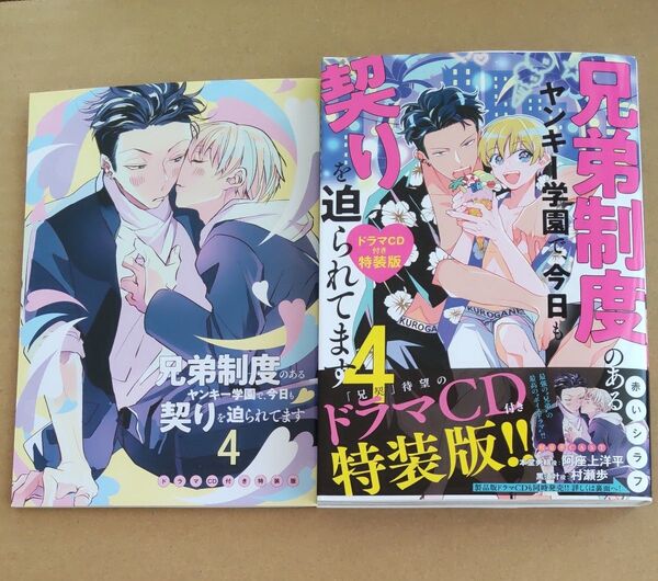 兄弟制度のあるヤンキー学園で、今日も契りを迫られてます4 ドラマCD付特装版