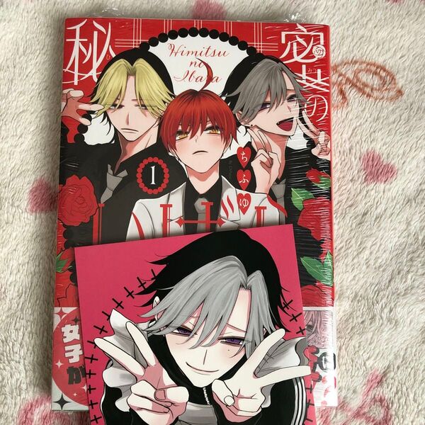 新品『秘密のいばら』① ちふゆ TSUTAYA限定 イラストカード ボーイズラブ TSUTAYA特典 限定特典 特典 講談社