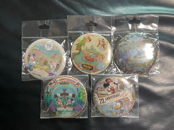 TDR 東京ディズニーリゾート ファンタジースプリングス 缶バッジ 5種セット ラプンツェル TDR ピーターパン 41周年