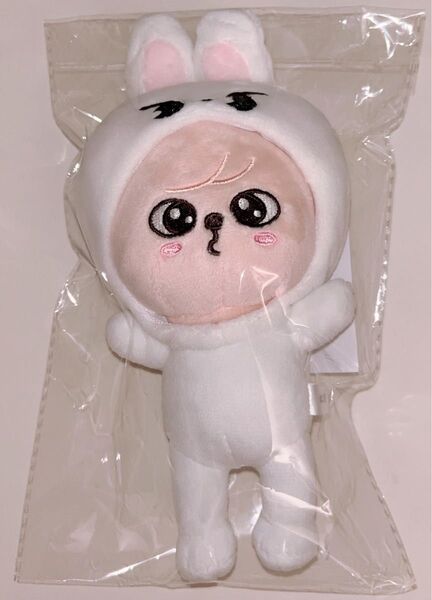 新品未使用 straykids skzoo バッグチャーム TOYWORLD パピーム リービット 離婚危機 ぬいぐるみ ペンミ