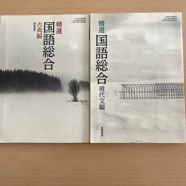 精選国語総合 古典編 現代文編 2冊セット