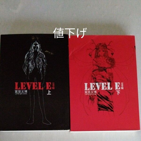 中国語のマンガ LEVEL E 上下巻