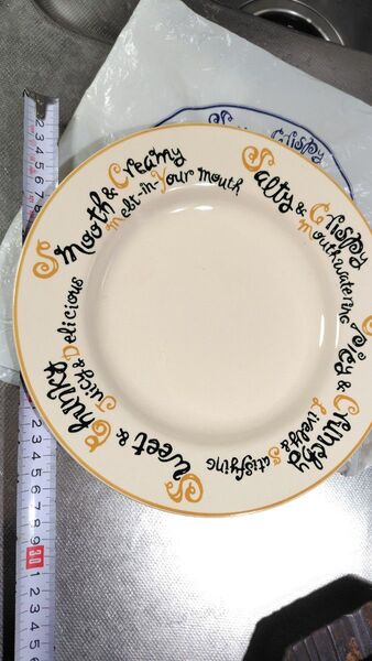 FlTCH社製 ミスタードーナツ大皿 27cm
