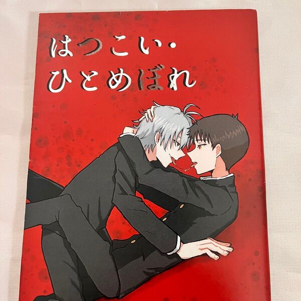 エヴァンゲリオン 同人誌 カヲシン はつこい・ひとめぼれ