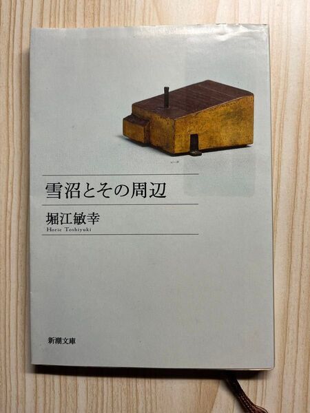 雪沼とその周辺 堀江敏幸