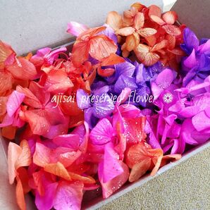 ゆめあじさい ハロウィン 花材 プリザーブドフラワー
