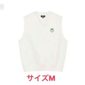 stussy fleece vest サイズM