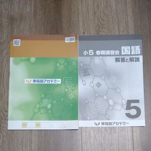 早稲田アカデミー 春期講習会 小5 最新版 最安値 値下げ 理社 本 学習ノート よくわかる国語の学習 国語 家庭学習 教材 春