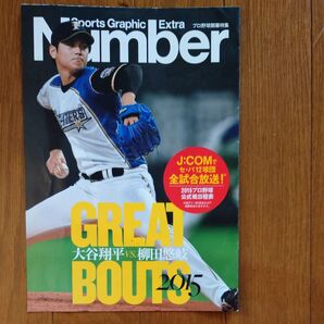 大谷翔平 チラシ 日本ハム2015 スポーツ グラフィック