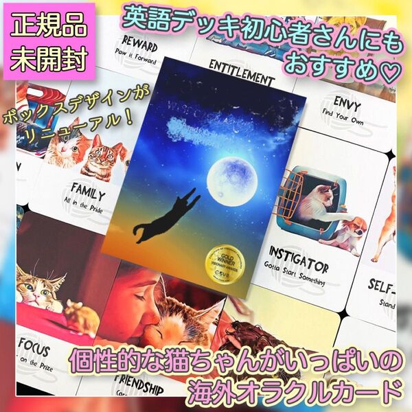 ★キュート!★生き生きとした猫ちゃんが描かれた海外オラクルカード・タロットカード