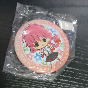 獅堂光 缶バッジ レイアース