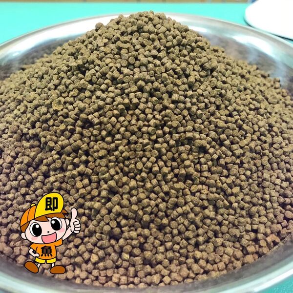 1200g マダイEPスーパー2号(2㎜)らんちゅう 土佐金 小型熱帯魚に最適な餌です タンパク質50%