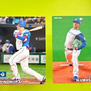 プロ野球チップス 日本ハムファイターズ