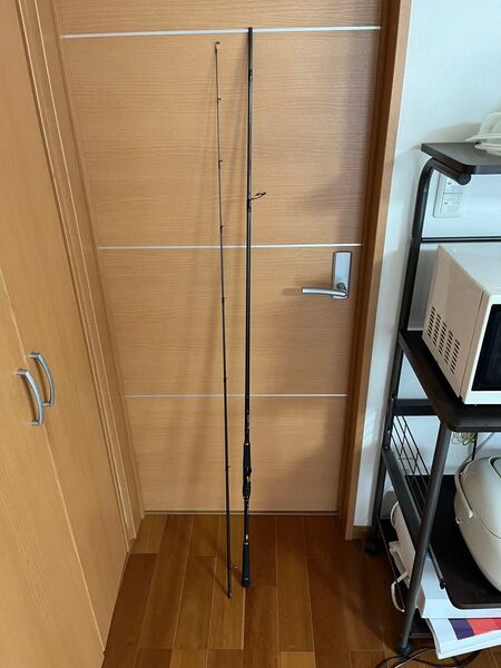 DAIWA ラテオr 100M