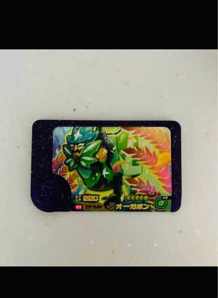 ポケモンフレンダ リザードン カメックス ピカチュウ パーモット フレンダ ポケモン オーガポン スーパートレジャー