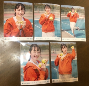 乃木坂46 向井葉月 滑走路 Web限定 生写真