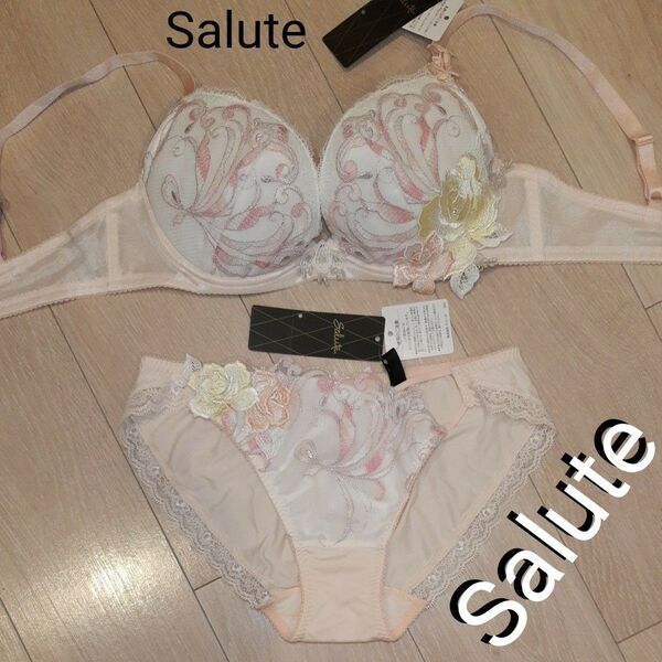 ワコール サルート Salute 66G ブラ&ショーツセット