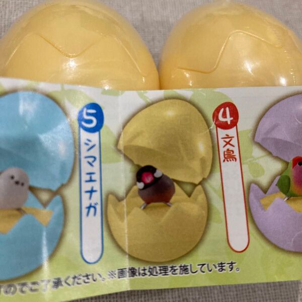 未開封 ことりんぐ 文鳥2つ 指輪 小鳥 鳥 グッズ ガチャガチャ
