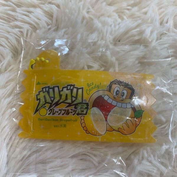 がりがりくん キーホルダー チャーム ガリガリ君
