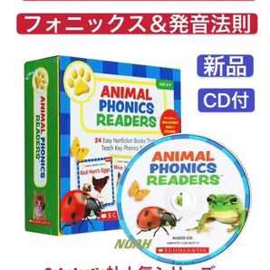 Animal phonics readers 新品 フォニックス 英語絵本 洋書 スカラスティック scholastic CD付