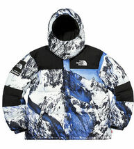 国内正規品 SUPREME X THE NORTH FACE MOUNTAIN BALTORO JACKET シュプリーム ノースフェイス マウンテン バルトロ [13]_画像1