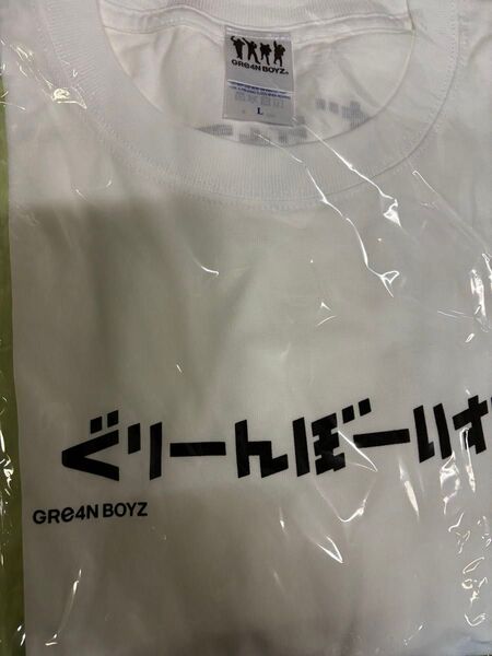 グリーンボーイズロンTシャツ L