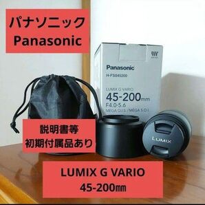 Panasonic LUMIX G VARIO 45-200㎜