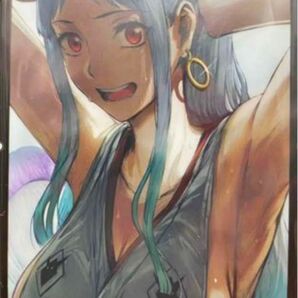 ONE PIECE ワンピース ヤマト スリーブ