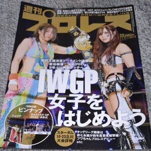 週刊プロレス 2022年11月9日号
