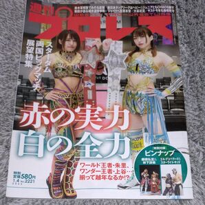 週刊プロレス 2023年1月4日号