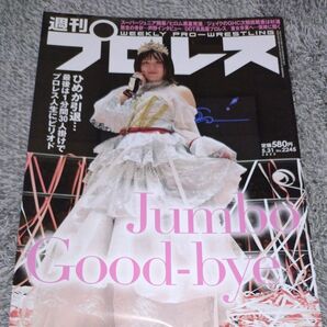 週刊プロレス 2023年5月31日号