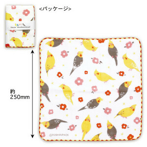  new goods * gauze handkerchie *o turtle parakeet * bird miscellaneous goods 