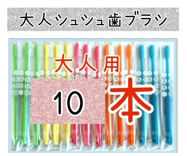 大人用シュシュα歯ブラシ10本
