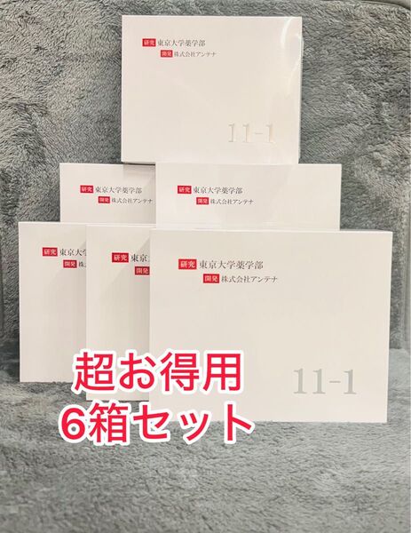 超お得用 11-1乳酸菌 いちいちのいち 2g30包 6箱セット