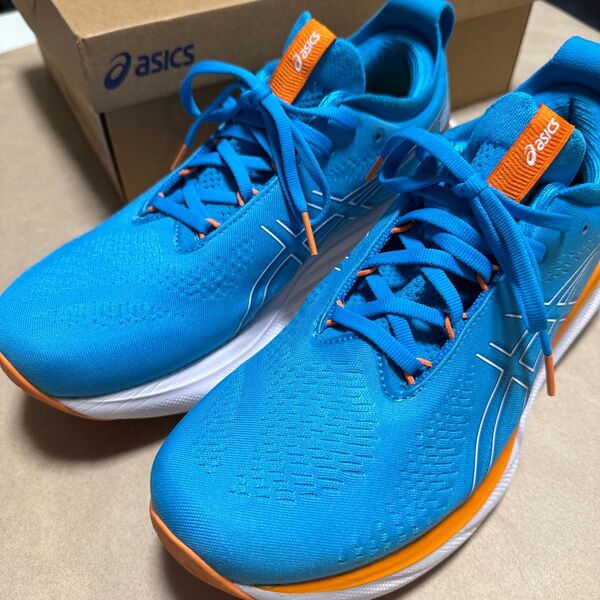 asics ゲルニンバス25 27cm アイランドブルー