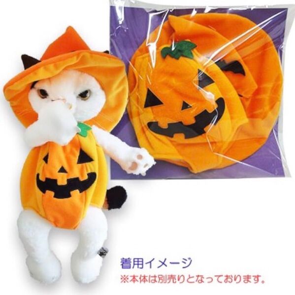 レア 黒猫 スクラッチ ハロウィン Lサイズ コスチューム かぼちゃ 魔女