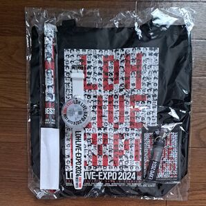 LDH LIVE-EXPO 2024 プレミアムチケット特典グッズ