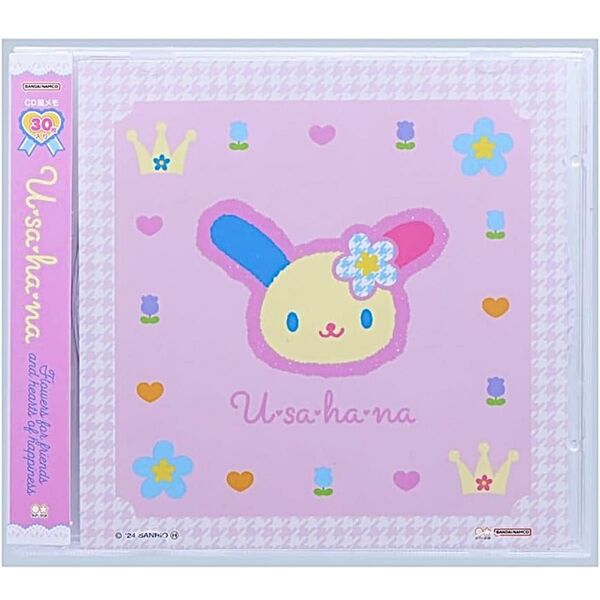 サンリオ ウサハナ 平成コギャル 平成レトロ カオハナ CD メモ帳 キティ
