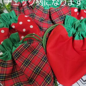 ハンドメイドいちごミニミニ巾着袋(チェック)
